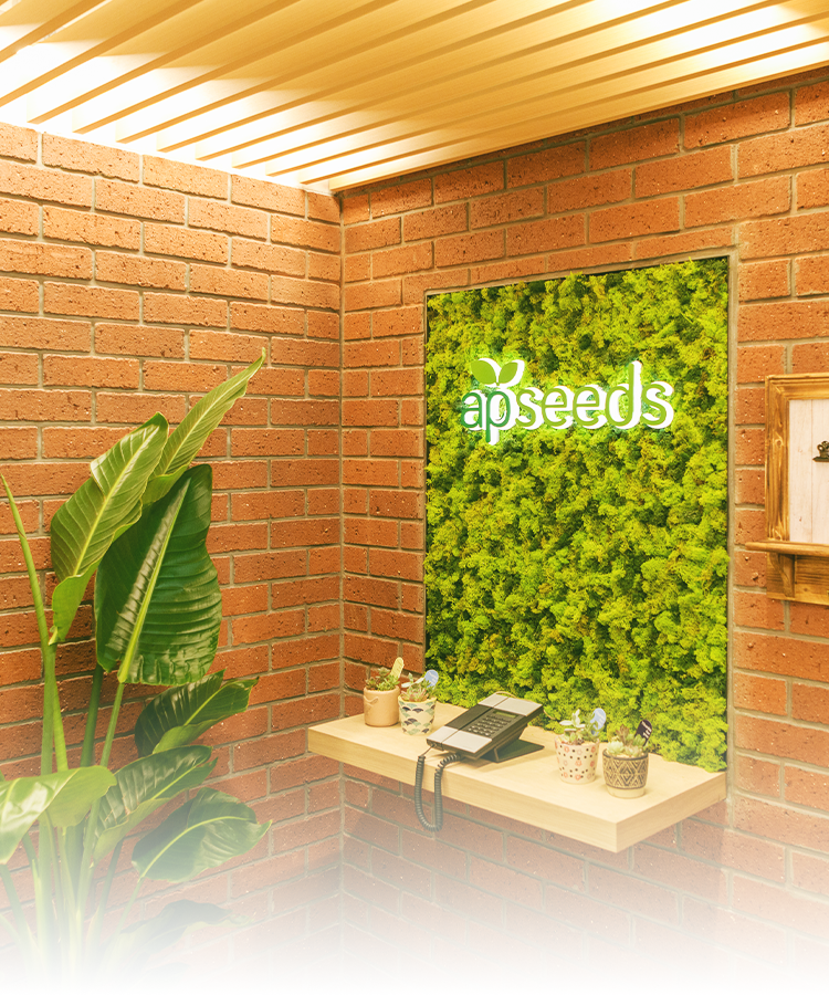 募集要項一覧写真